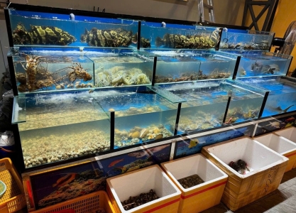 seafood-phnom-penh-trai-nghiem-am-thuc-hai-san-khong-the-bo-qua-tai-campuchia